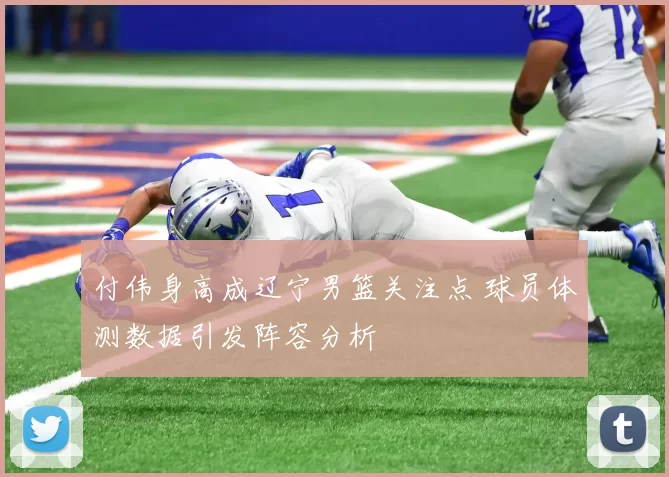 付伟身高成辽宁男篮关注点 球员体测数据引发阵容分析