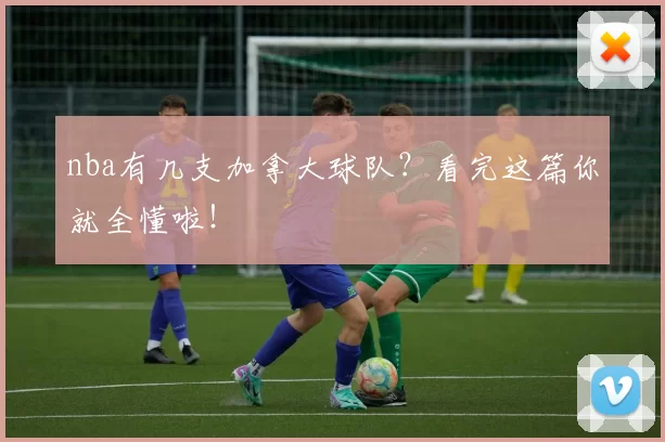 nba有几支加拿大球队？看完这篇你就全懂啦！