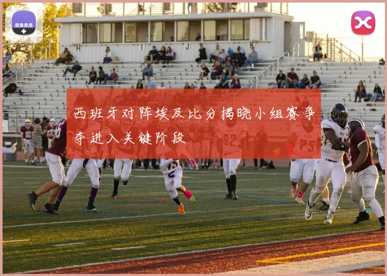 西班牙对阵埃及比分揭晓小组赛争夺进入关键阶段