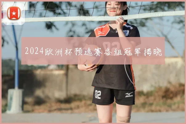 2024欧洲杯预选赛各组冠军揭晓